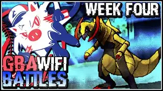 Pokemon Omega Ruby & Alpha Sapphire [ORAS] Live GBA Wifi Battle Vs The Real Marill!
