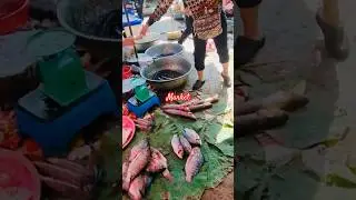 Countryside market view 😍🐠👍 #shorts #countryside #streetfood