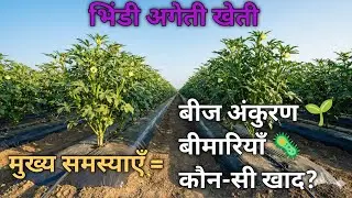 भिंडी अगेती खेती कैसे करें? | बीज अंकुरण से लेकर खाद तक पूरी जानकारी | Ai farming business 