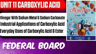 Vinegar with Sodium Metal & Sodium Carbonate | Applications & Uses | Class 10 |Carboxylic Acid