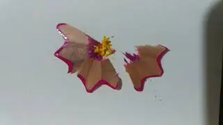 Test de fondo (stop motion)