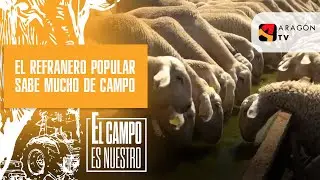 El refranero popular sabe mucho de campo