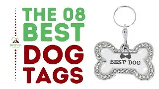 The Best Dog Tags
