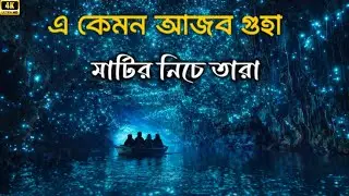 পৃথিবীর সবচেয়ে আজব গুহা | Waitomo Glowworm Caves NewZealand | Travel Nation Bangla 