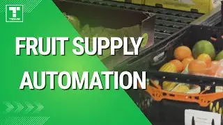 TBWB - Fruit Supply Automation - Case Study