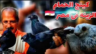 رقم واحد فى الحمام الزينه فى مصر 🇪🇬🔥💥 عم هانى وأحلى حمام01001044693