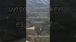 ☘️ Positive Energie und Inspiration 🙌🏻 Ber&uuml;hmte Zitate #shorts #zitate #motivation #natur