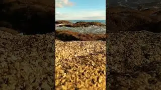 D&eacute;tente, le bruit de la mer et le bruit des vagues