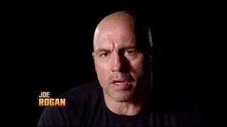 Fight Night Brasilia: Barao vs Nover - Joe Rogan Preview