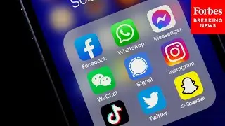 Senator Says Big Tech Is 