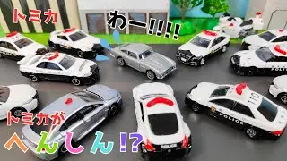 トミカ🌈はたらくくるま⭐トミカがへんしん!?パトカー、消防車、飛行機、たくさんの車がでてくるよ👍✨