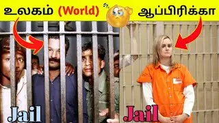 நமக்கு தெரியாத  உண்மைகள்/ Facts in tamil/ Facts in minutes - infact tamil #Shorts