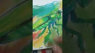 realistic insect drawing #art #drawing #song # come back