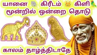 Don't delay, touch the third of the elephant's crown #sai #saibaba #motivation