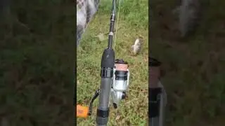 casting tilapia in the ditch with spinner lure #castinggabus #castingnila