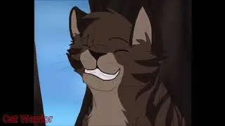 Cat Warrior Два влюблённых идиота |Ежевика и Белка|
