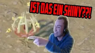 RANDOM SHINY WEHERBA gerade so noch erkannt! Pokemon Karmesin Purpur