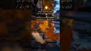 Urdu poetry video #urdushayari #urdupoetry #poetry #urdusher