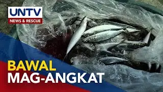 Issuance ng import clearance sa galunggong at iba pang isda, sinuspende