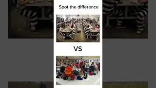 School vs prison ￼