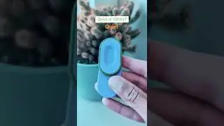 Clicky or Quiet Magnetic Fidget Toy
