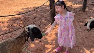 Cherry cho mấy bạn ăn rất th&iacute;ch