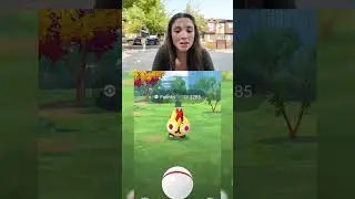 Raid Day Shiny Odds #PokemoGO