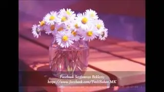 || Ayhan &Ouml;zel - Issız &Ccedil;&ouml;ller