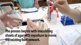 Myco-Planning Network - Amy Pilling and Stephanie Rothenberg