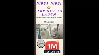 NIBBA NIBBI MEMES😂| HINDI MEMES| #shorts #nibbanibbi #catmemes
