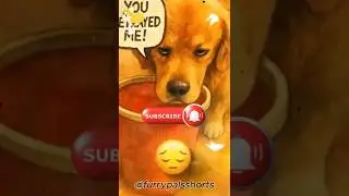 Dog Tries to Eat Dumpling&hellip; and Fails Hilariously! 😂🥟