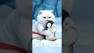 KungFu Cat's Icy Penguin Rescue from Snow Blower! 🐧❄️