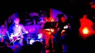 Purplestorm Purple tributo picture of home