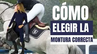 ¿Es Hora de Cambiar la Montura de tu Caballo? 🐎 Señales Clave que Todo Jinete Debe Conocer