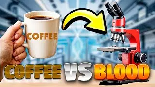 Coffee Under Microscope|#science#microbiology#microscope  