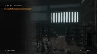 Sekiro: Shadows Die Twice - Library:  Extra Resurrection, Fragrant Flower Note, Incense Choice 2019