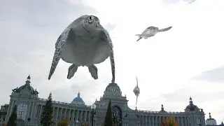 Turtles fly over the farmer's palace. More&More restaurant