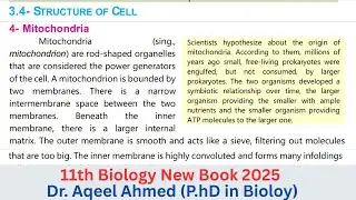 Mitochondria | 11th Biology New Book 2025 | Topic 3.4 Structure Of Cell | Chapter 03 | 11th Biology