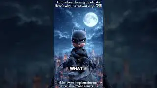 Batman Baby | Data Analytics | Meta Ad