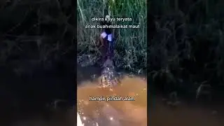 Begini kalau mancing di sarang BUAYA #shorts #buayabesar #mancingmania