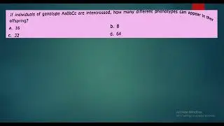 Possible Genotype,Phenotype & Gamete Calculations with in 3 min I practice problems IMH-SETICSIR-NET