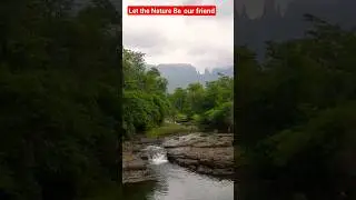 Beautiful Nature status for WhatsApp |#status #shorts  #flute #naturerelaxation @naturestatus