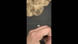 2.5 CT Moissanite Engagement in 14K Gold and Silver, Ice Crushed Oval Ring, Oval Cut Solitaire Ring