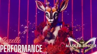 Gazelle sings 