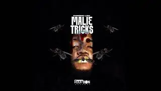 Malie Donn - Mr Switchy Switchy (Official Audio) 𝐑𝐄𝐀𝐂𝐓𝐈𝐎𝐍