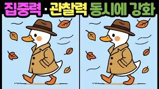 @[다른그림찾기/뇌훈련] 집중력, 관찰력 동시에 강화! 틀린그림찾기 /두뇌운동/치매예방/스트레스해소/집중력테스트 #다른그림찾기 #틀린그림찾기 #FindDifference