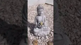 Beautiful Light Up Solar Statue! #amazonfinds #amazonhome  #founditonamazon #shorts #short #buddha