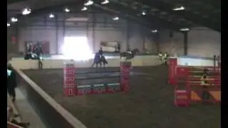 Norrvidden Horse Festival 130, 17/4-10