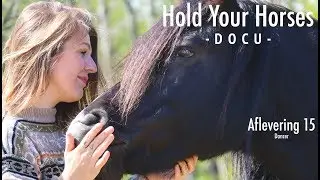 Hold Your Horses project #15 | Dancer