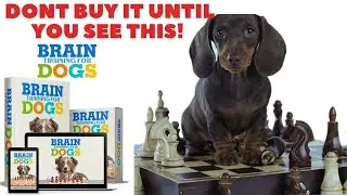 Brain Training For Dogs  Review -  Unique Dog Training Course
